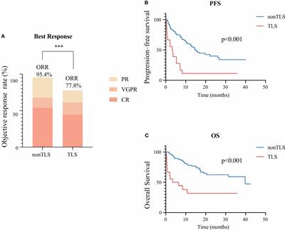 Incidence, clinical characteristics and prognosis of tumor lysis syndrome following B-cell maturation antigen-targeted chimeric antigen receptor-T cell therapy in relapsed/refractory multiple myeloma